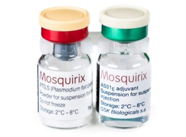 Le vaccin antipaludique RT GSK MOSQUIRIX ne constitue pas un danger et n’est pas déployé au Togo