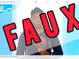 Attention Cette image de la journaliste Renée Mendy a été montée avec l'IA