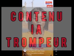 Cette vidéo montrant un véhicule transportant des missiles au Burkina Faso est générée par l’IA