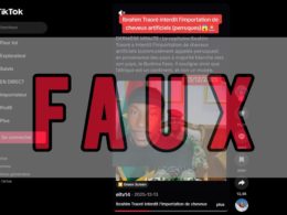 Faux les importations de perruques et de mèches synthétiques ne sont pas interdites au Burkina Faso