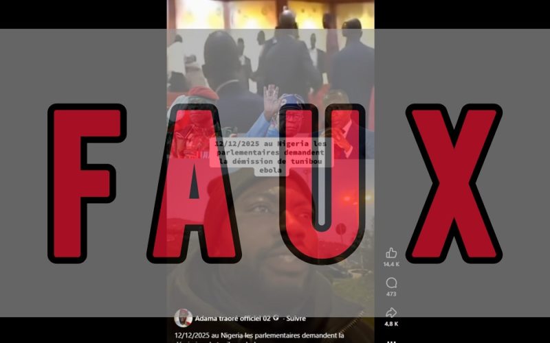 Faux, l’intervention militaire au Bénin n’a pas provoqué de bagarre au Sénat nigérian