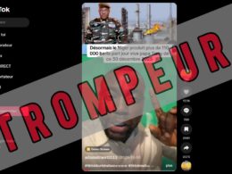 Faux, le Niger n’est pas le premier producteur de pétrole d'Afrique de l'Ouest