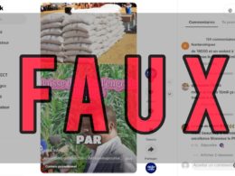 Faux le gouvernement togolais n’a pas ramené le prix du sac d’engrais à 15 000 FCFA