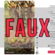 Faux La poudre de Goyave mélangée à du miel ne guérit pas le diabète