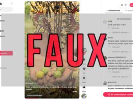 Faux La poudre de Goyave mélangée à du miel ne guérit pas le diabète