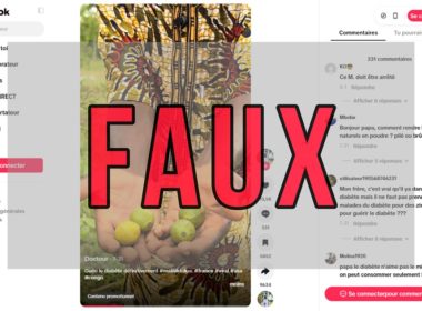 Faux La poudre de Goyave mélangée à du miel ne guérit pas le diabète