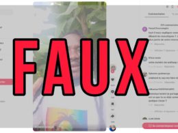 Faux Les moustiquaires imprégnées ne provoquent pas des maladies 