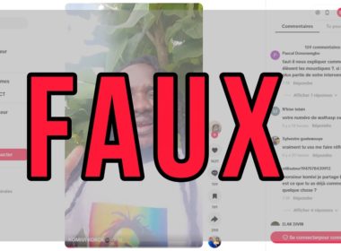 Faux Les moustiquaires imprégnées ne provoquent pas des maladies 
