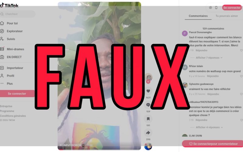 Faux Les moustiquaires imprégnées ne provoquent pas des maladies 