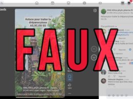 Le Fagara guérit-il la drépanocytose et transforme le génotype SS en AA ? Preuves insuffisantes